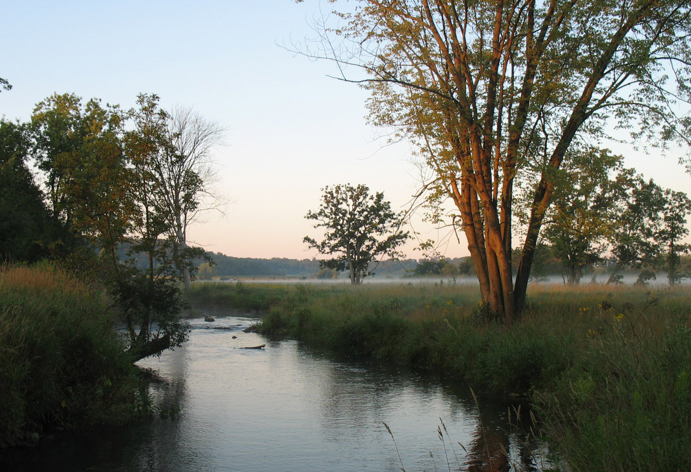 RIM-Riparian River Shoreline