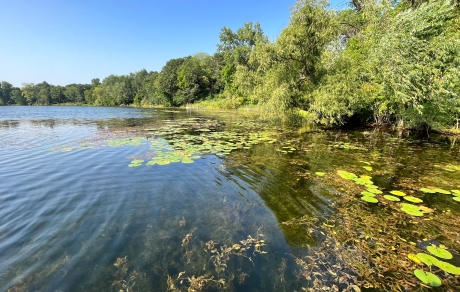 Blue sky reflects in a lake ringed by trees